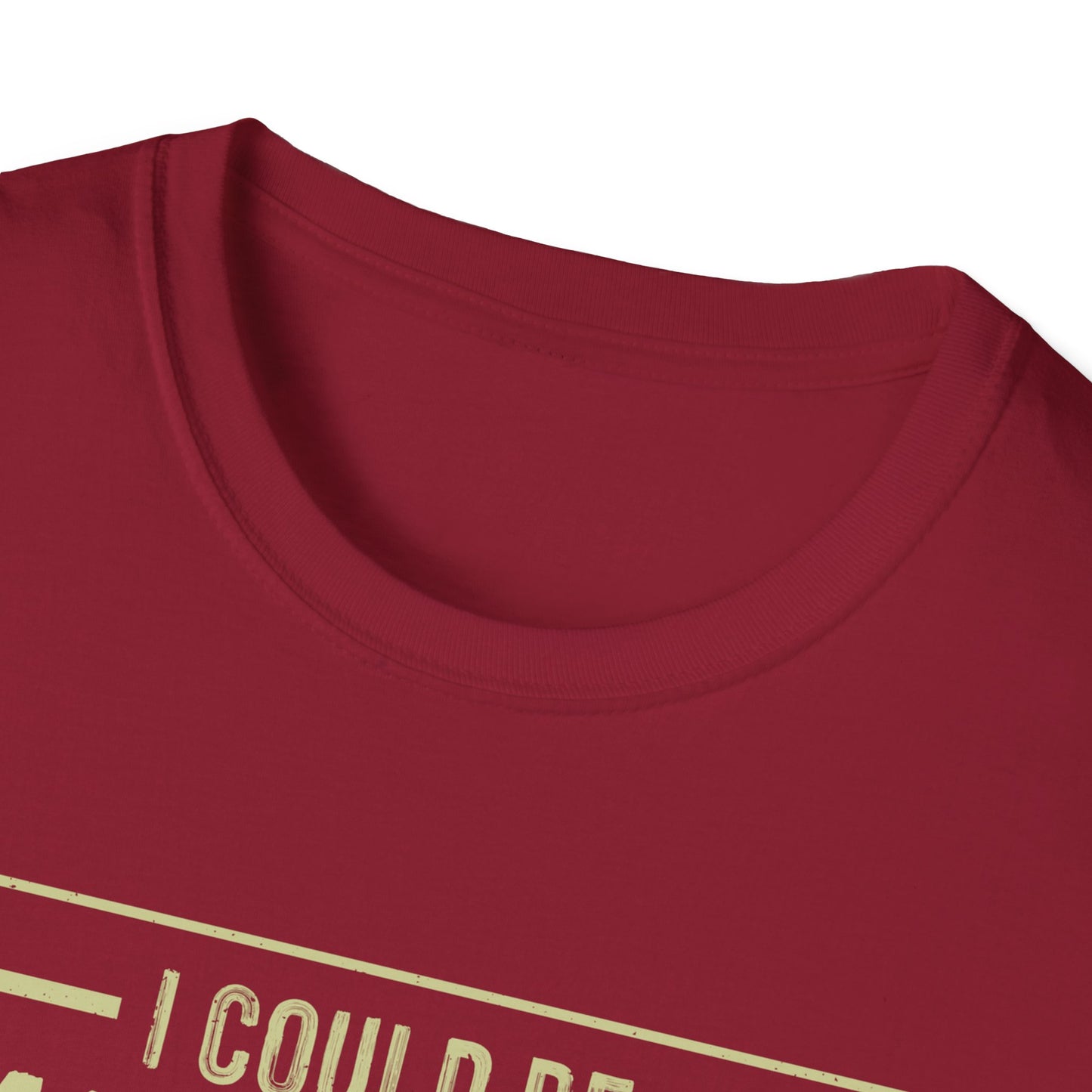 I Could Be Meaner Softstyle T-Shirt