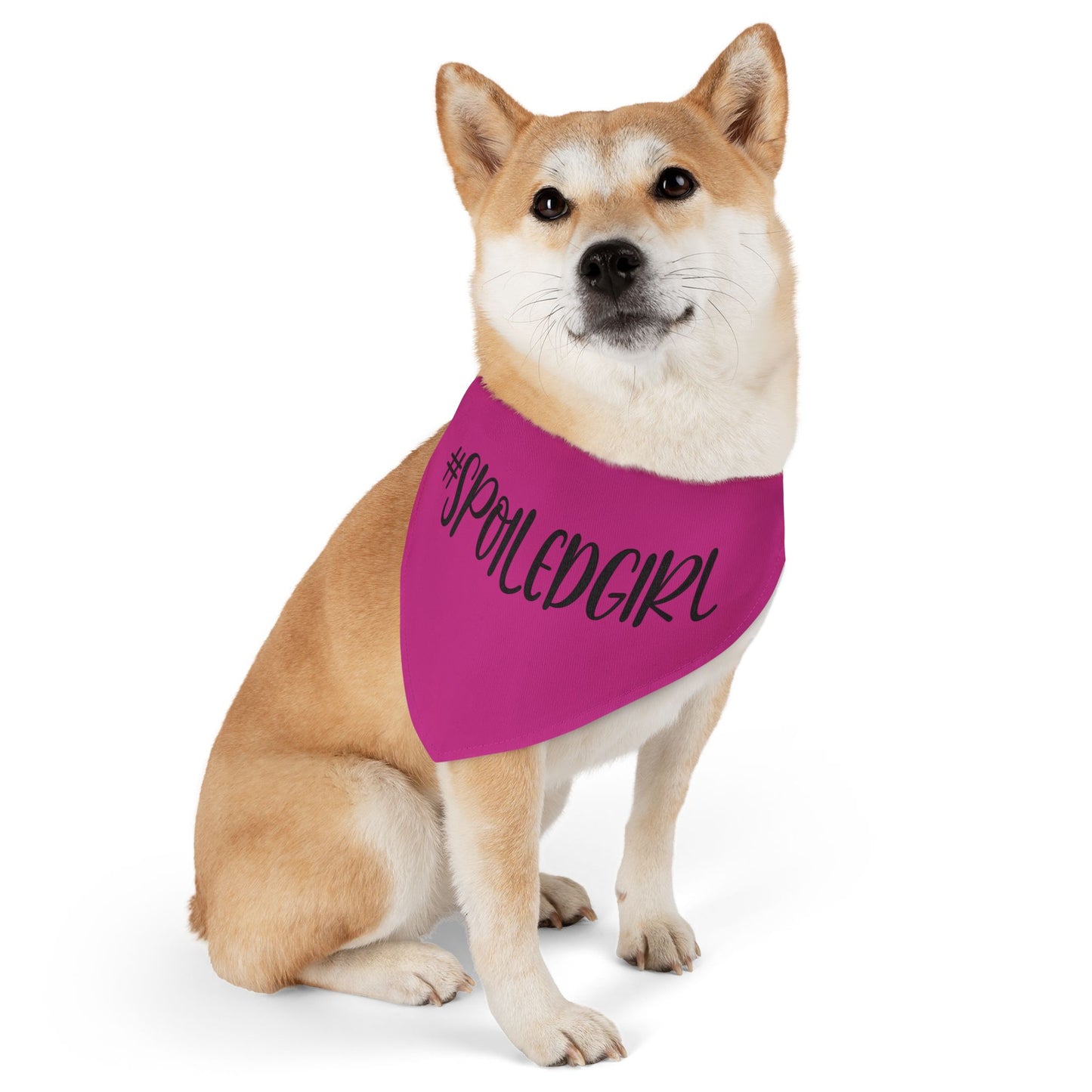 #SpoiledGirl CYOT Pet Bandana Collar