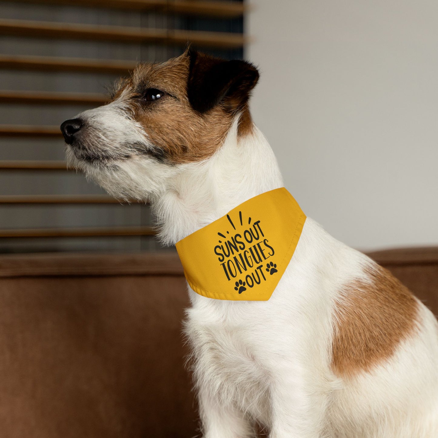 Suns Out Tongues Out Pet Bandana Collar