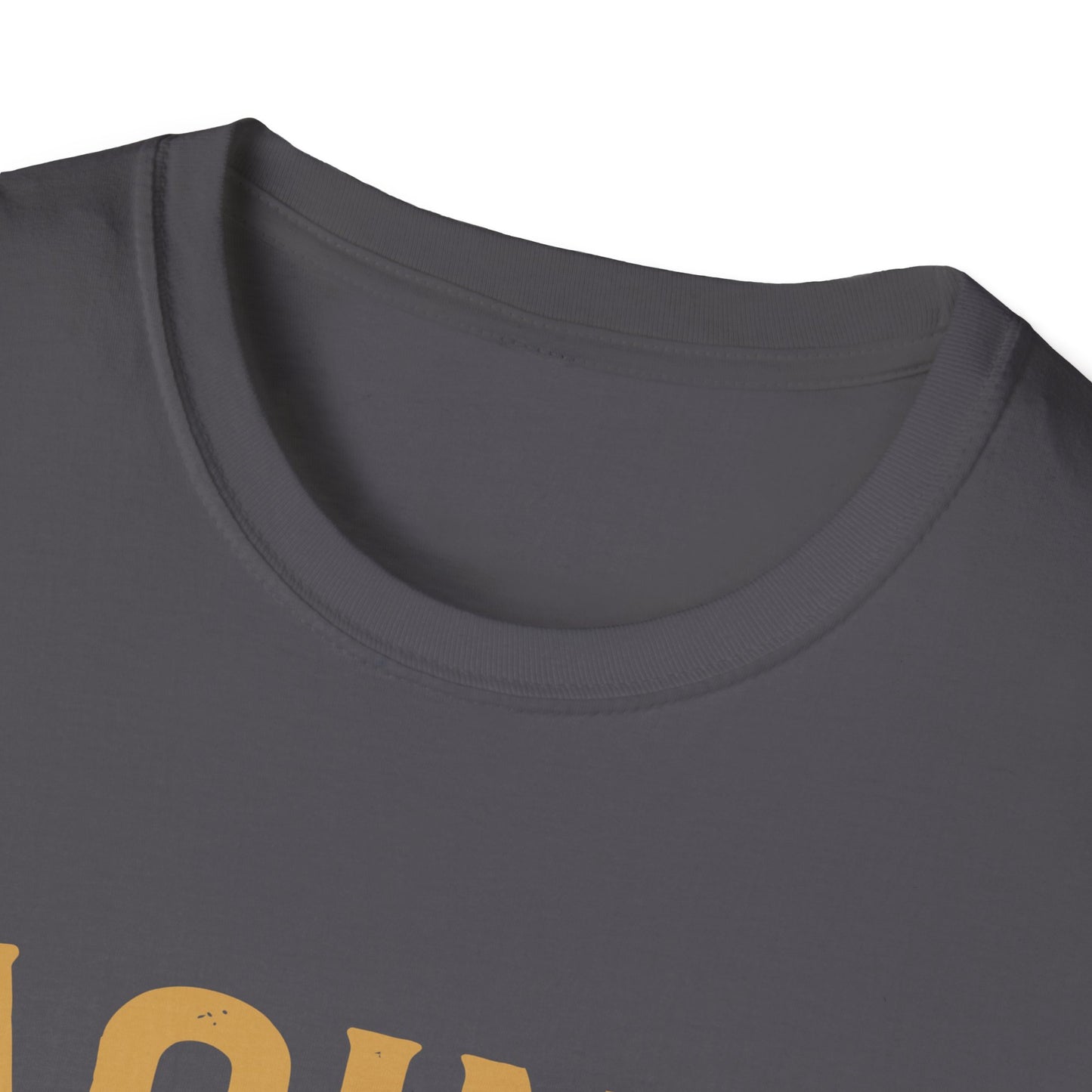 Aging Like Fine Wine Softstyle T-Shirt