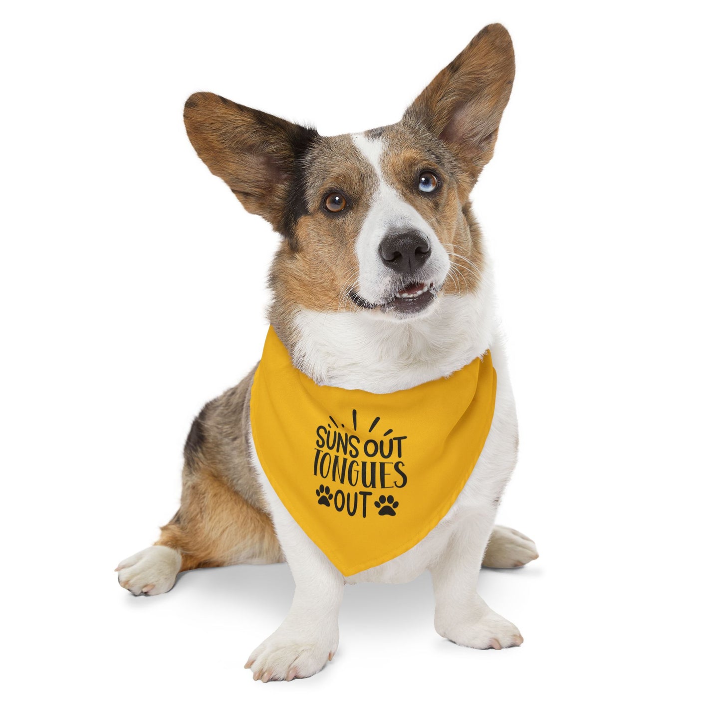 Suns Out Tongues Out Pet Bandana Collar