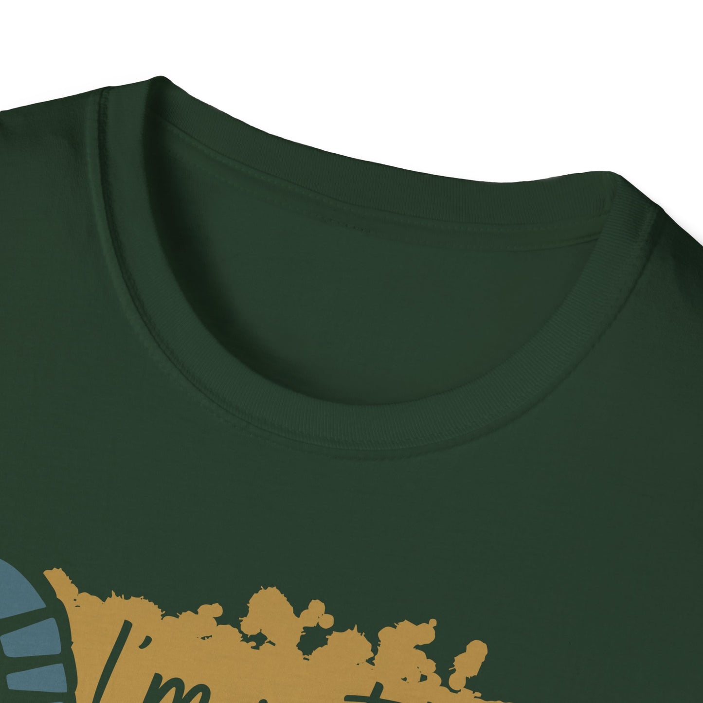 Dad That Stepped Up Softstyle T-Shirt