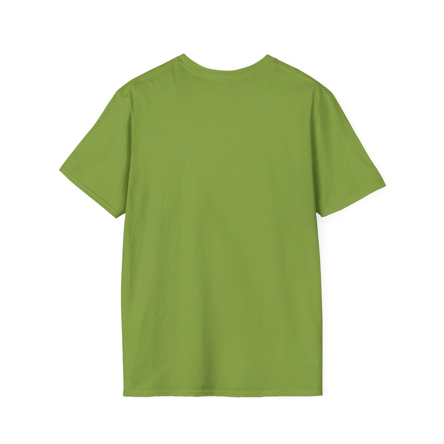 Be Kind Rainbow Softstyle T-Shirt
