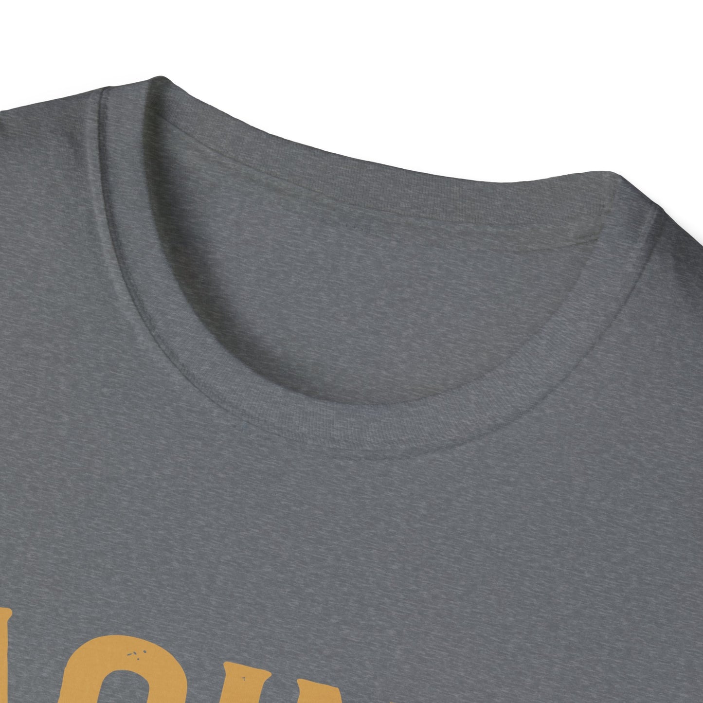 Aging Like Fine Wine Softstyle T-Shirt