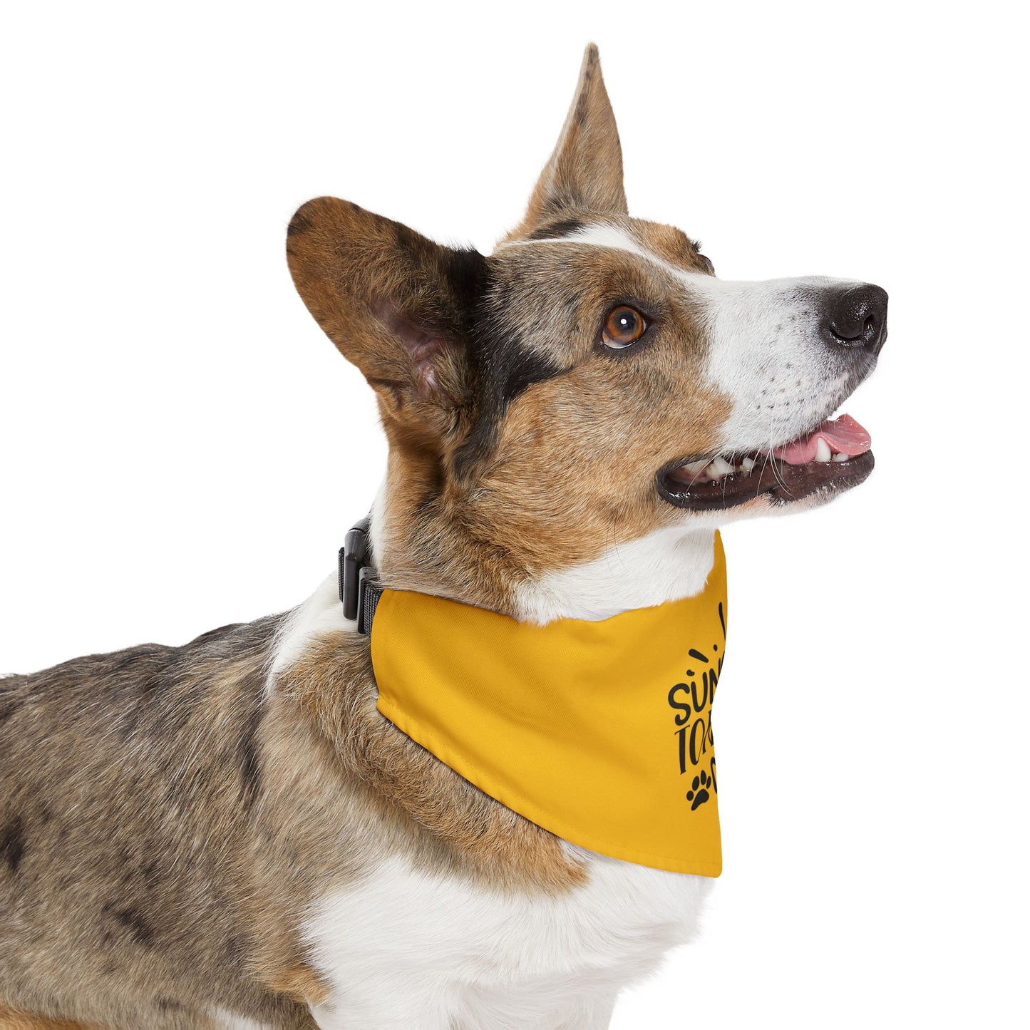 Suns Out Tongues Out Pet Bandana Collar