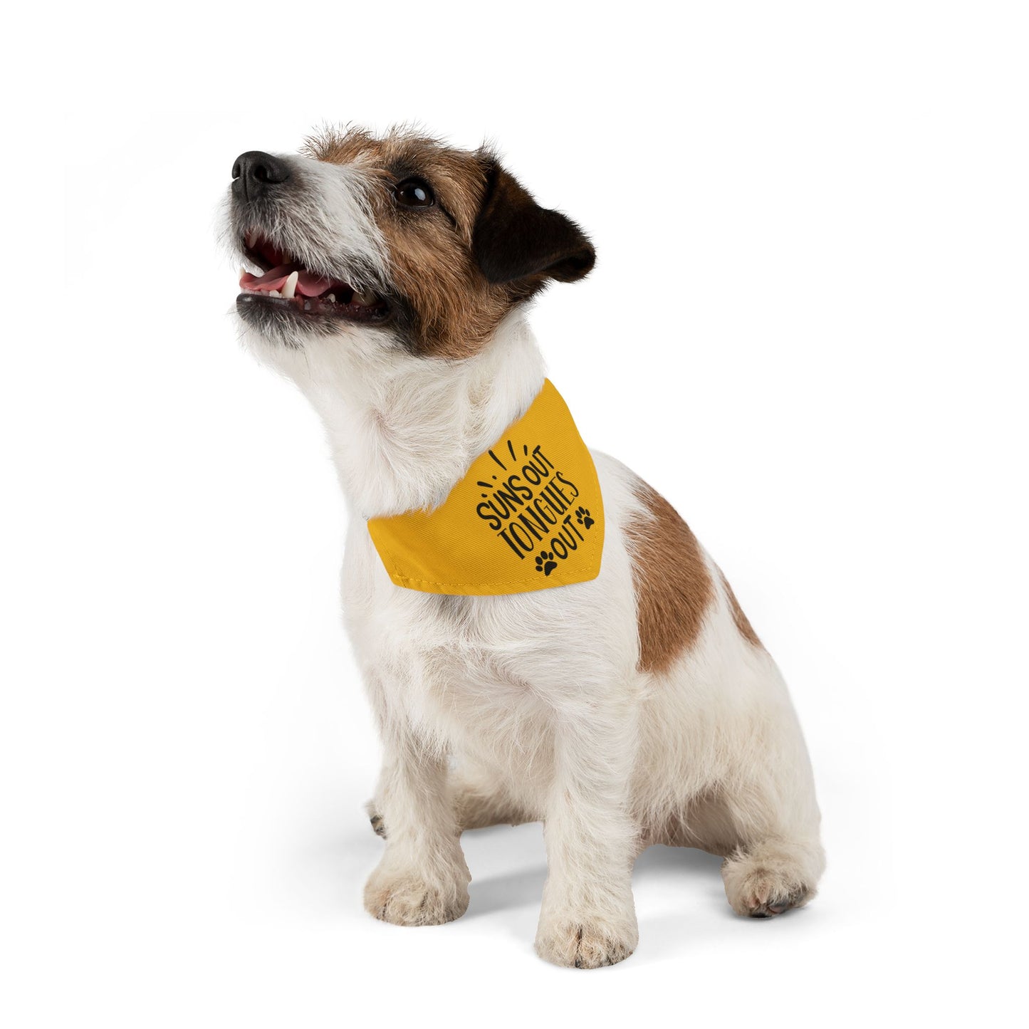 Suns Out Tongues Out Pet Bandana Collar