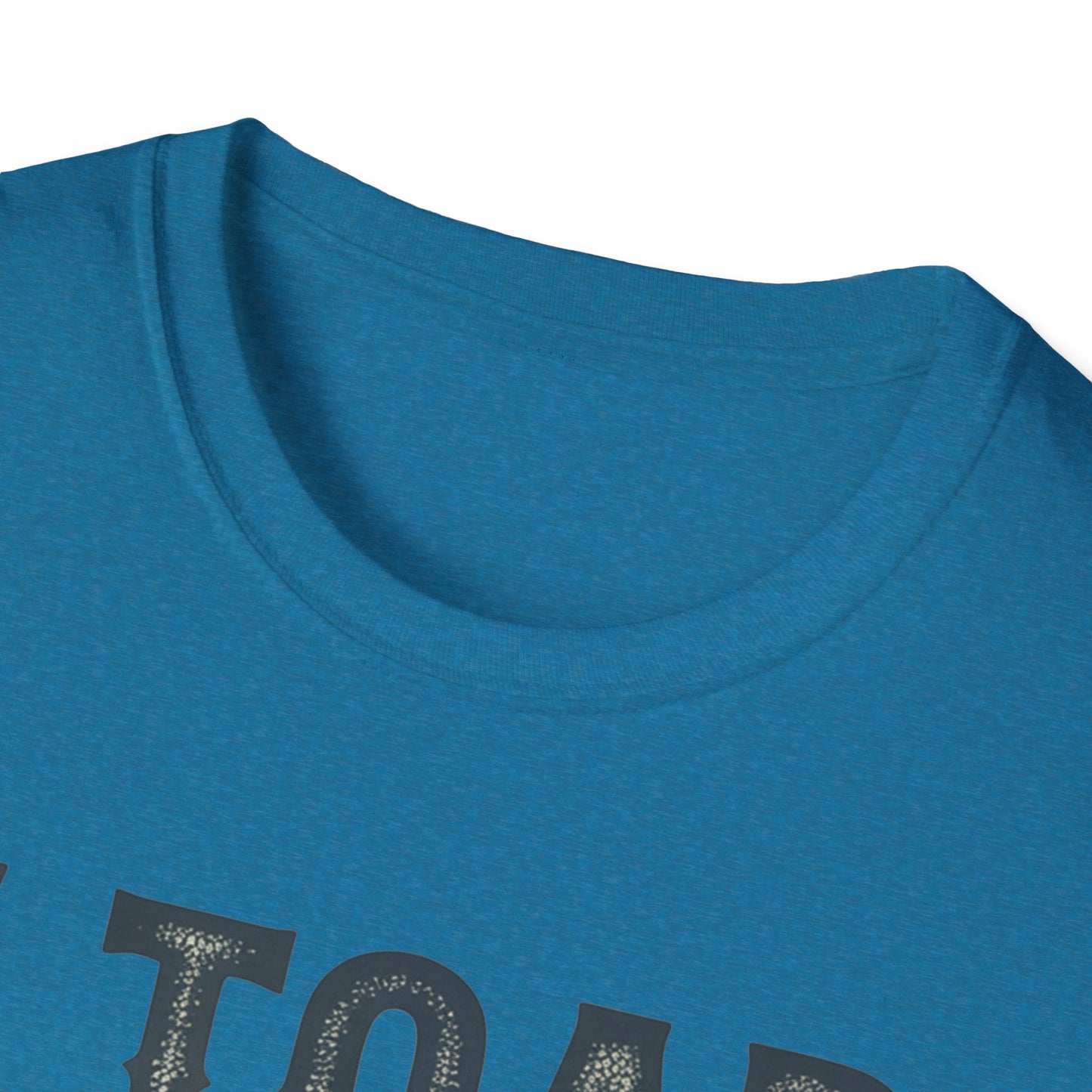 I Told You So Softstyle T-Shirt