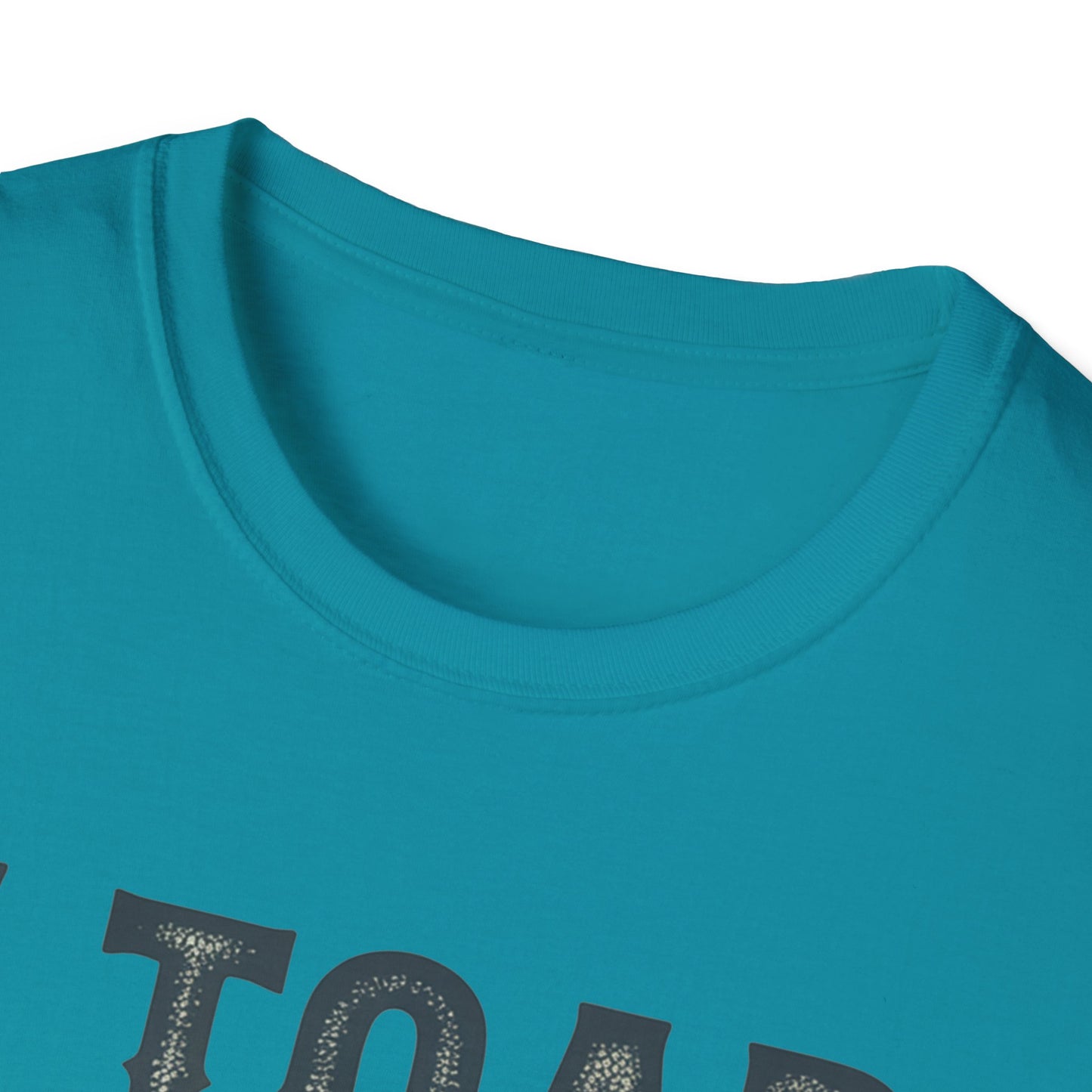 I Told You So Softstyle T-Shirt