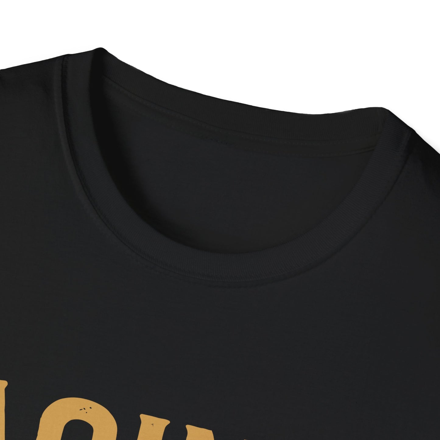 Aging Like Fine Wine Softstyle T-Shirt
