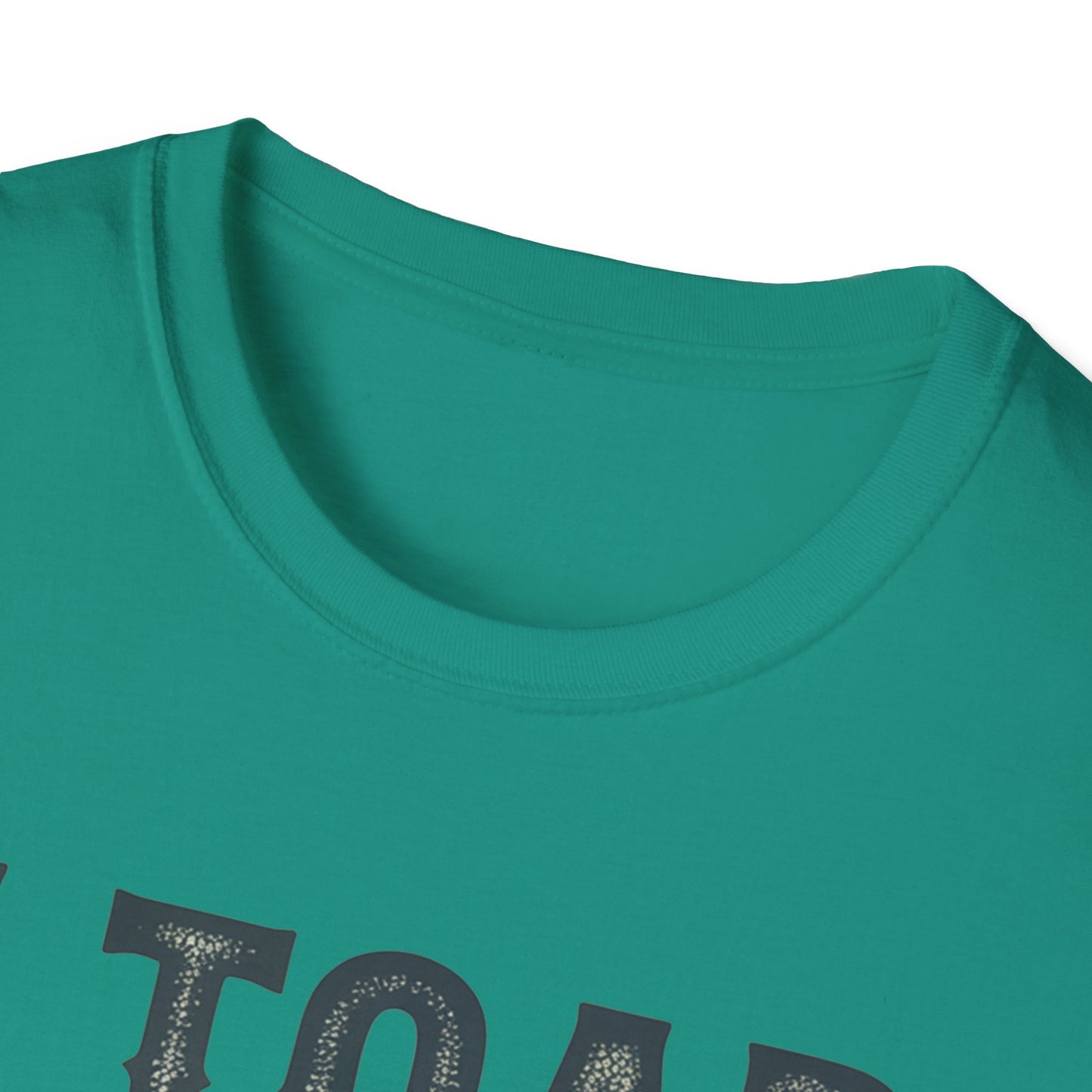 I Told You So Softstyle T-Shirt