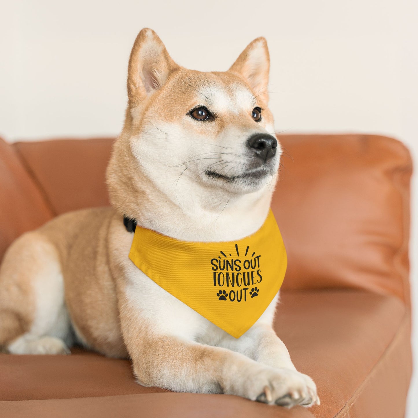 Suns Out Tongues Out Pet Bandana Collar