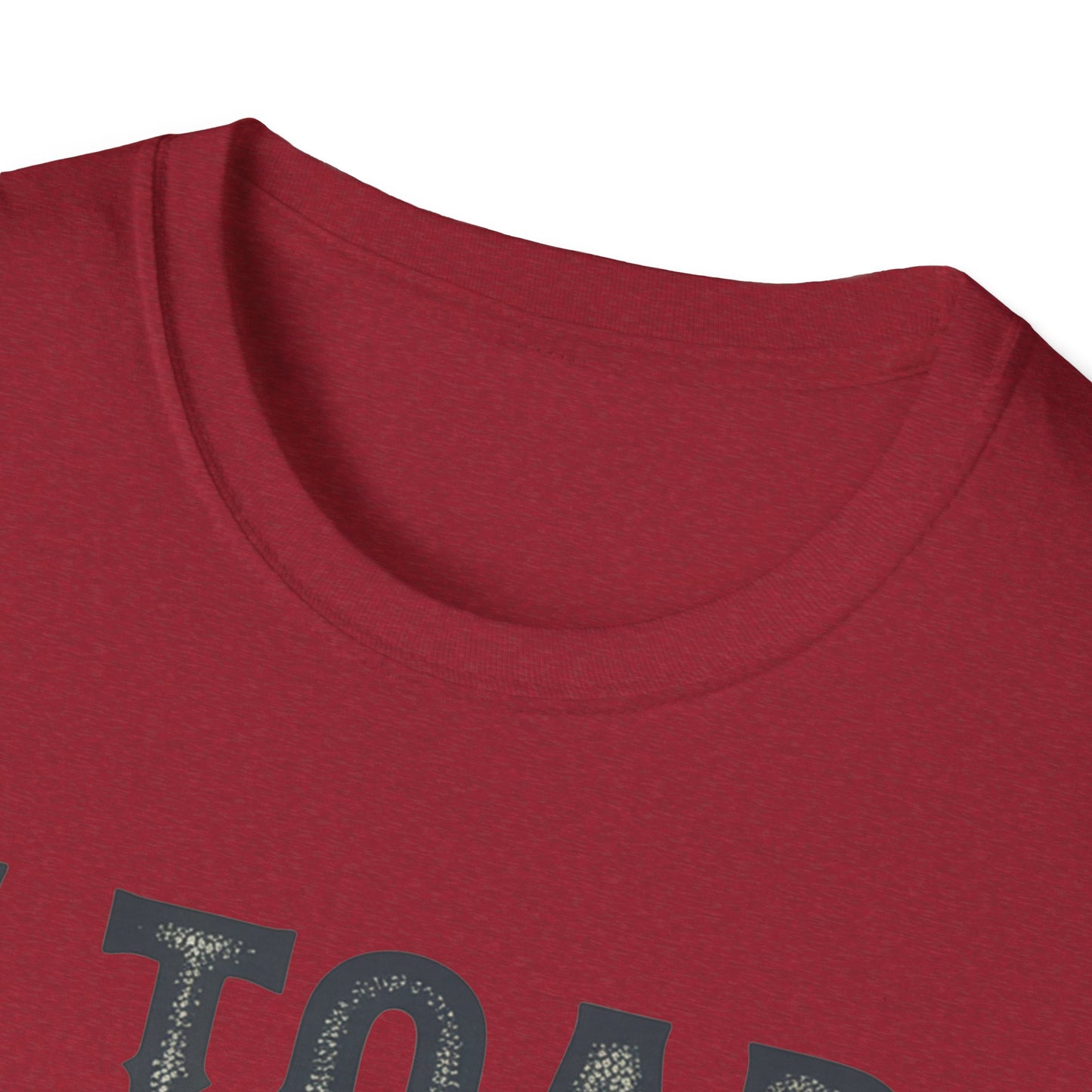 I Told You So Softstyle T-Shirt