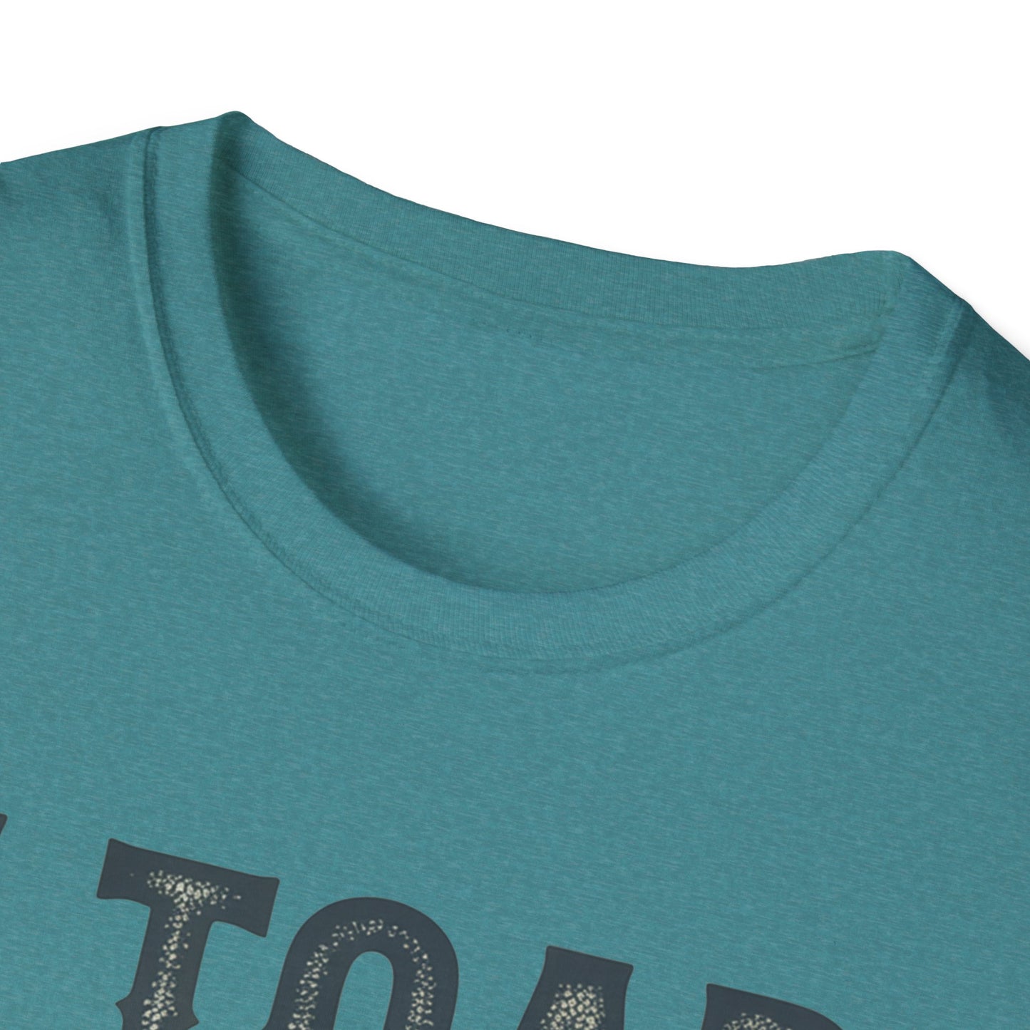 I Told You So Softstyle T-Shirt