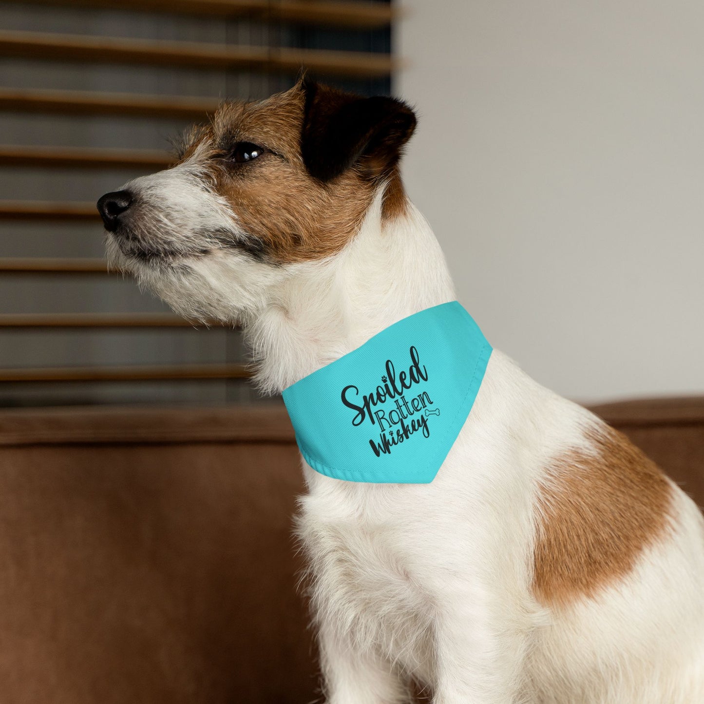 Spoiled Rotten Whiskey CYOT Pet Bandana Collar
