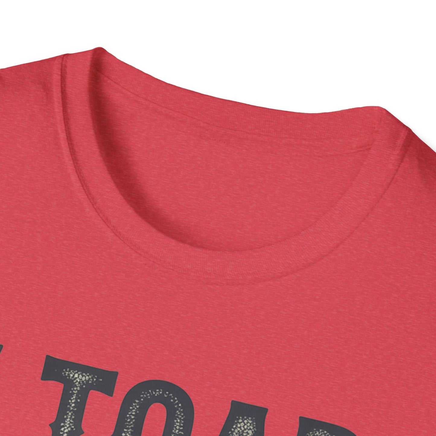I Told You So Softstyle T-Shirt