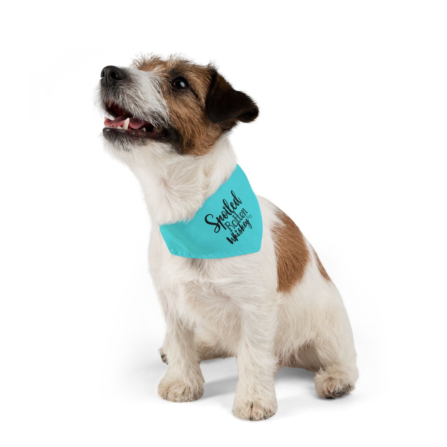 Spoiled Rotten Whiskey CYOT Pet Bandana Collar