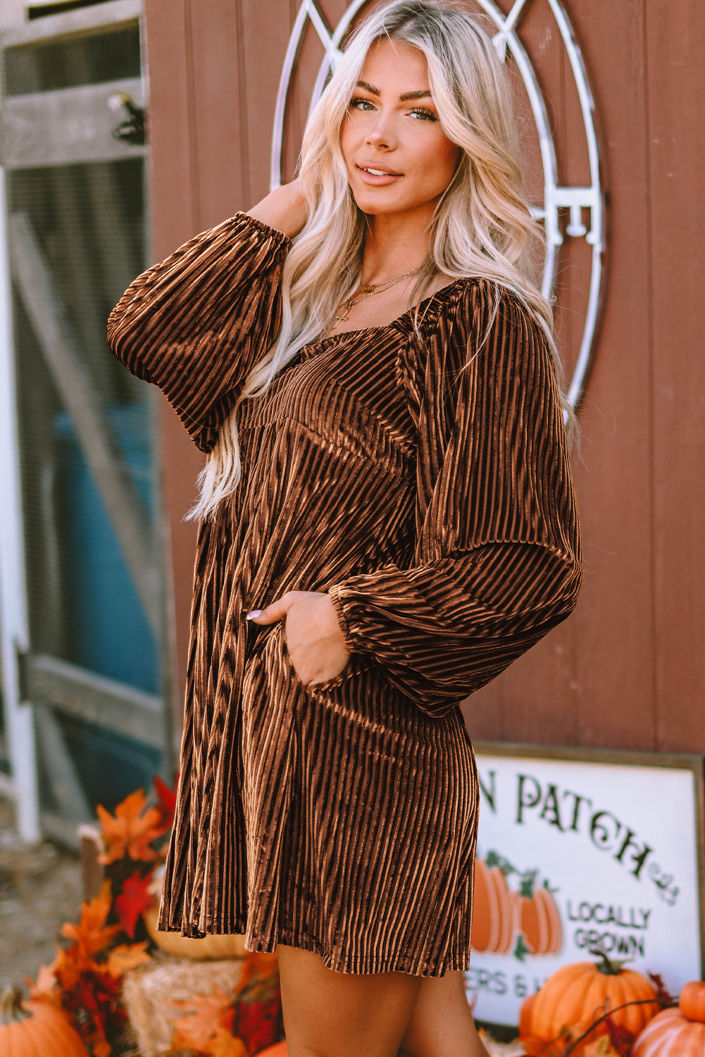 Chestnut Half Zip V Neck Ribbed Velvet Top
